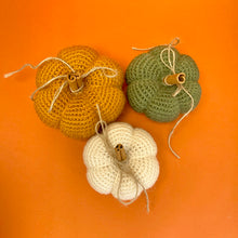 Load image into Gallery viewer, Pumpkins 1