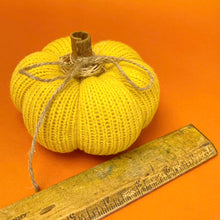 Load image into Gallery viewer, Pumpkins 3