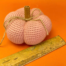 Load image into Gallery viewer, Pumpkins 2