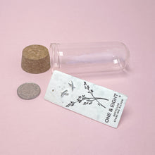 Load image into Gallery viewer, X Kiss,stud earrings