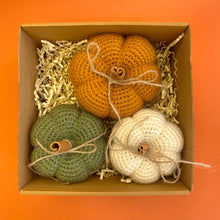 Load image into Gallery viewer, Pumpkins 1
