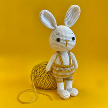 Load image into Gallery viewer, I am just the cutest bunny…