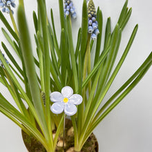 Load image into Gallery viewer, Forget-me-not - ceramic flower in a bottle