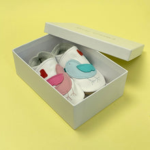 Load image into Gallery viewer, Baby Shoes - Pink and blue chicks on white
