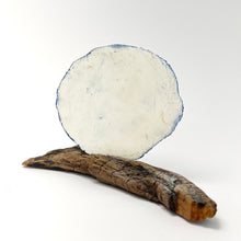 Load image into Gallery viewer, Porcelain Plaque - circle of fish