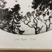 Load image into Gallery viewer, Etching - Look above