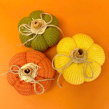 Load image into Gallery viewer, Pumpkins 3
