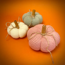 Load image into Gallery viewer, Pumpkins 2
