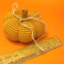 Load image into Gallery viewer, Pumpkins 1
