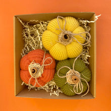 Load image into Gallery viewer, Pumpkins 3
