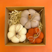 Load image into Gallery viewer, Pumpkins 4
