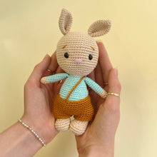 Load image into Gallery viewer, Crocheted Baby Bunny Bean 2
