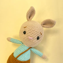 Load image into Gallery viewer, Crocheted Baby Bunny Bean 2
