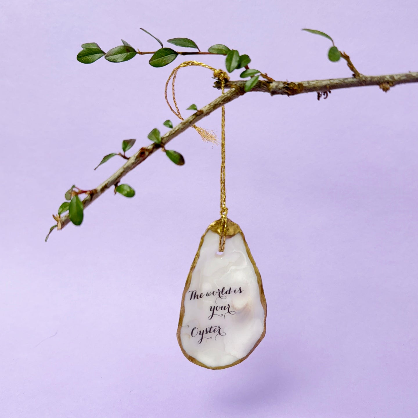 Oyster shell wall hanging - the world...