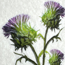 Load image into Gallery viewer, Nuno Felt picture - flower of Scotland
