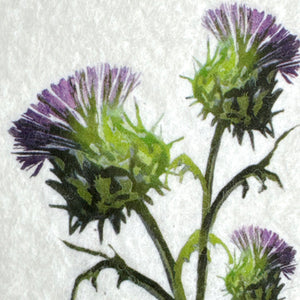 Nuno Felt picture - flower of Scotland