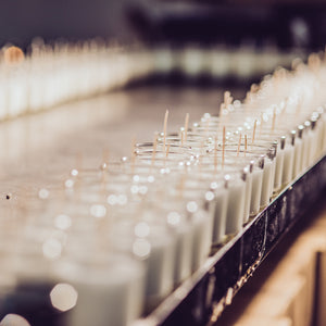 Field Day candle - Wild Rose