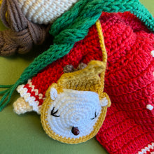 Load image into Gallery viewer, All dressed up for Christmas…
