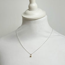 Load image into Gallery viewer, Heart of gold necklace
