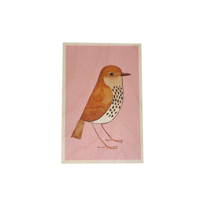 Wooden postcard - Thrush