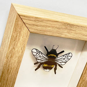 Bumble Bee picture (oak)