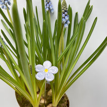 Load image into Gallery viewer, Forget-me-not - ceramic flower in a bottle
