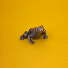 Load image into Gallery viewer, Frog miniature bronze sculpture
