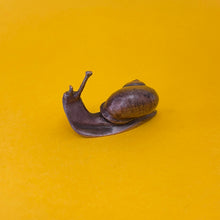 Load image into Gallery viewer, Snail miniature bronze sculpture
