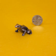 Load image into Gallery viewer, Frog miniature bronze sculpture
