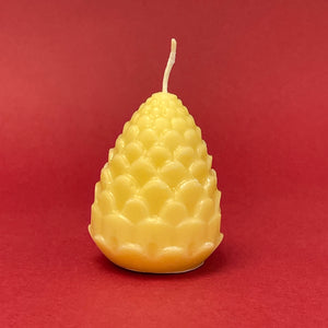 Bees Wax candle - pine cone