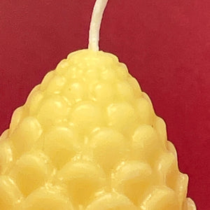 Bees Wax candle - pine cone