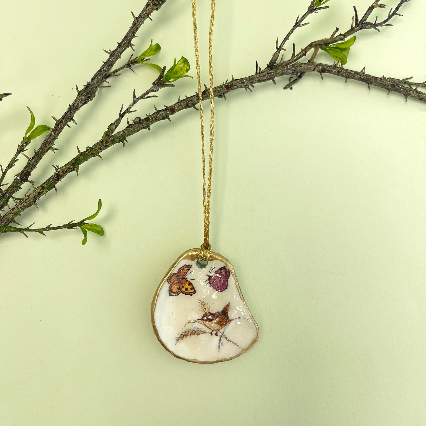 Oyster shell wall hanging - wren