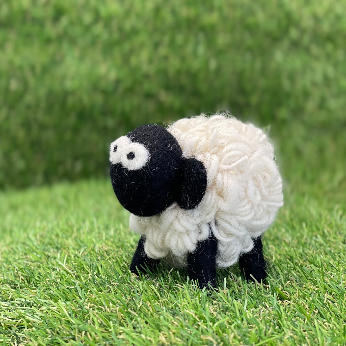 Wooly Sheep - small 1