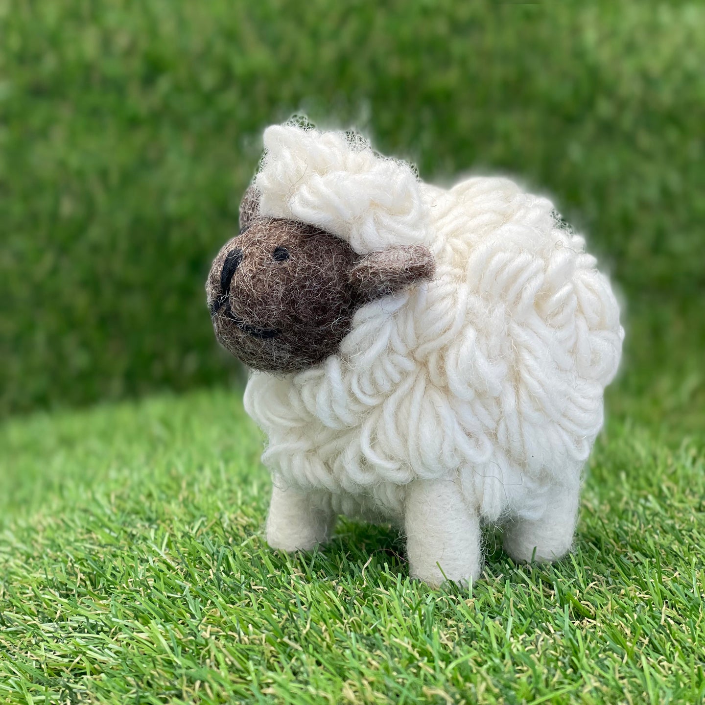 Wooly Sheep - medium 2