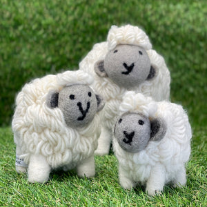 Wooly Sheep - Medium 1