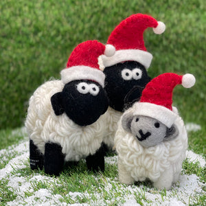Wooly Sheep - Christmas - medium