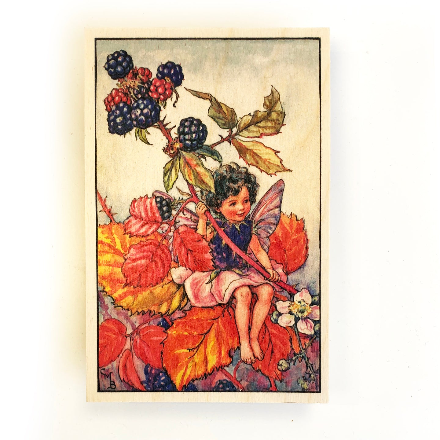 Wooden postcard - blackberry