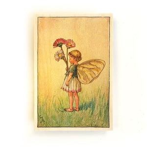 Wooden postcard - daisy fairy