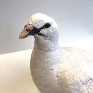 Ceramic Dove