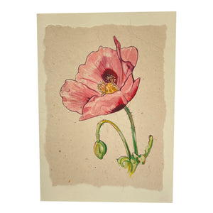 Card with poppy