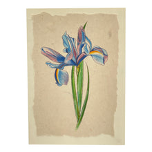 Load image into Gallery viewer, Card with blue Iris
