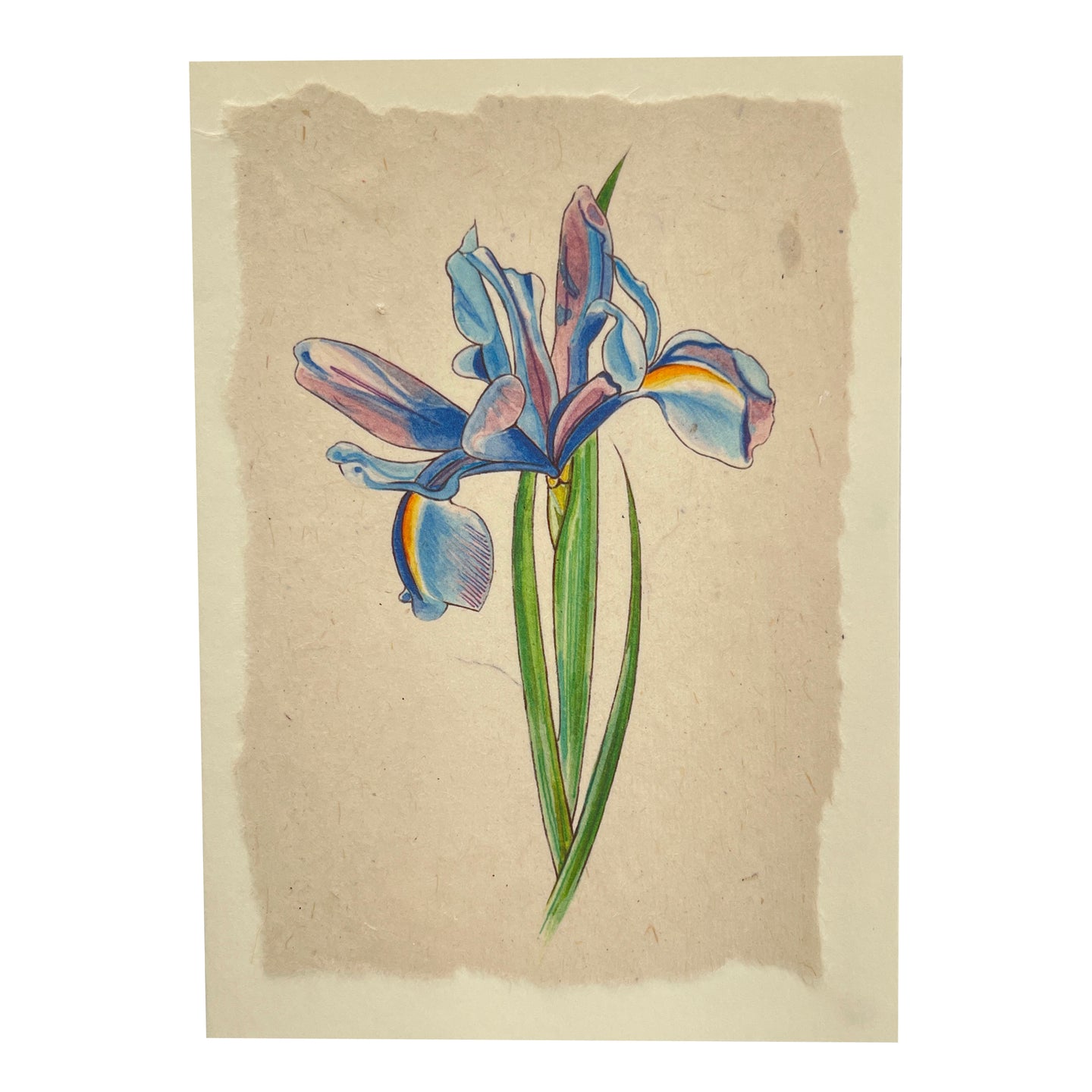 Card with blue Iris