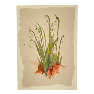 Card with snowdrops