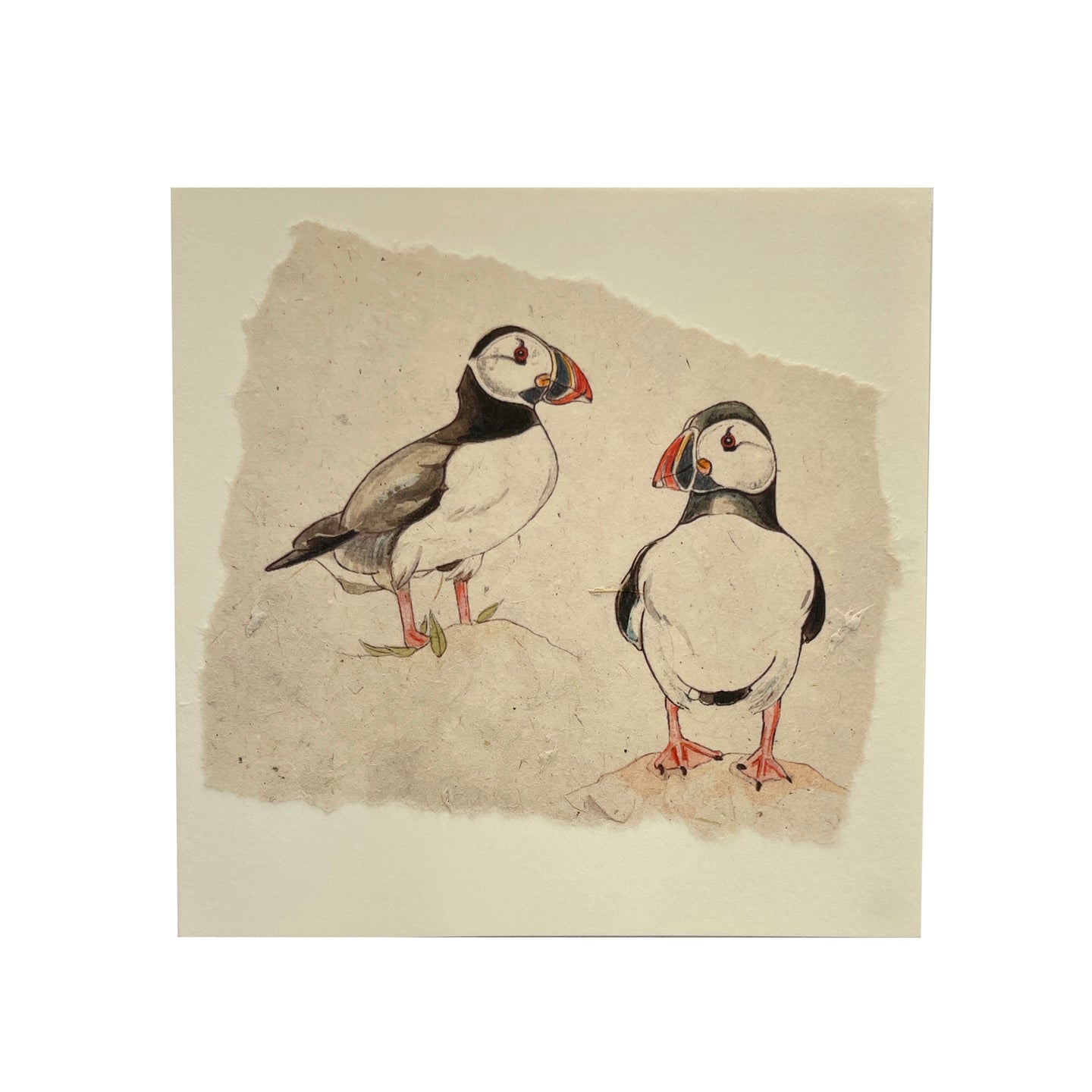 Card with pair of puffins