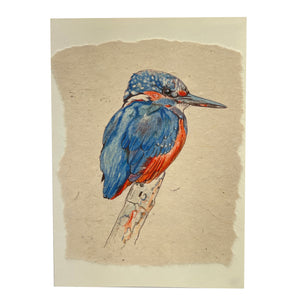 Card with kingfisher